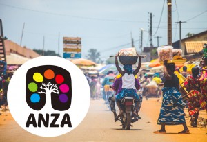 Released the African expansion platform "ANZA" | AAIC Holdings ...